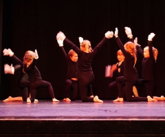 02-auf-weichen-tatzen