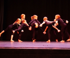 03-auf-weichen-tatzen