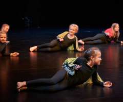 05 Huch_also_doch_ein_Schmetterling - FAC KC3- Foto: Knopp