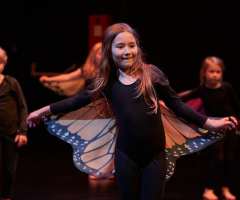 11 Huch_also_doch_ein_Schmetterling - FAC KC3- Foto: Knopp