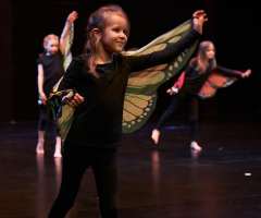 12 Huch_also_doch_ein_Schmetterling - FAC KC3- Foto: Knopp