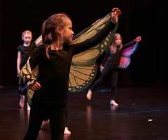 13 Huch_also_doch_ein_Schmetterling - FAC KC3- Foto: Knopp