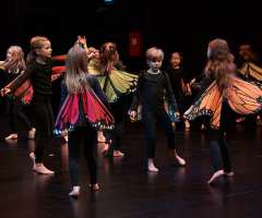 14 Huch_also_doch_ein_Schmetterling - FAC KC3- Foto: Knopp