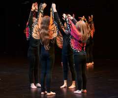 15 Huch_also_doch_ein_Schmetterling - FAC KC3- Foto: Knopp