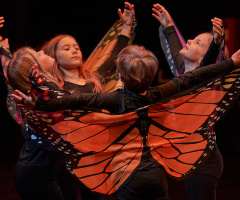 16 Huch_also_doch_ein_Schmetterling - FAC KC3- Foto: Knopp