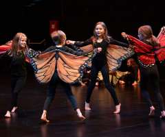 17 Huch_also_doch_ein_Schmetterling - FAC KC3- Foto: Knopp