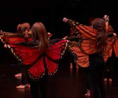 18 Huch_also_doch_ein_Schmetterling - FAC KC3- Foto: Knopp