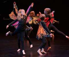 19 Huch_also_doch_ein_Schmetterling - FAC KC3- Foto: Knopp