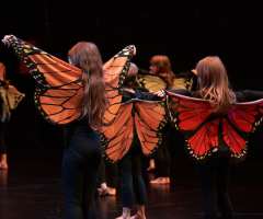 21 Huch_also_doch_ein_Schmetterling - FAC KC3- Foto: Knopp