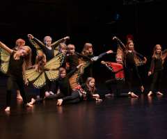 22 Huch_also_doch_ein_Schmetterling - FAC KC3- Foto: Knopp