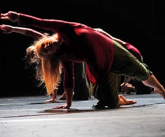 11 Company 1 | FAC | Tanz: mute