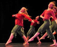 29 Company 1 | FAC | Tanz: mute