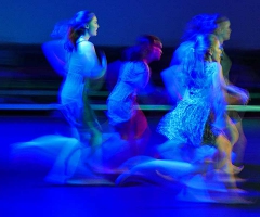 Schritte nach vorn - Junior Company | 06